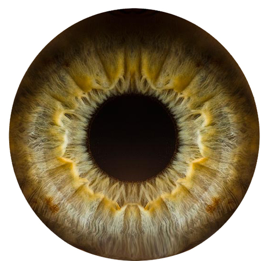 Eye_circle